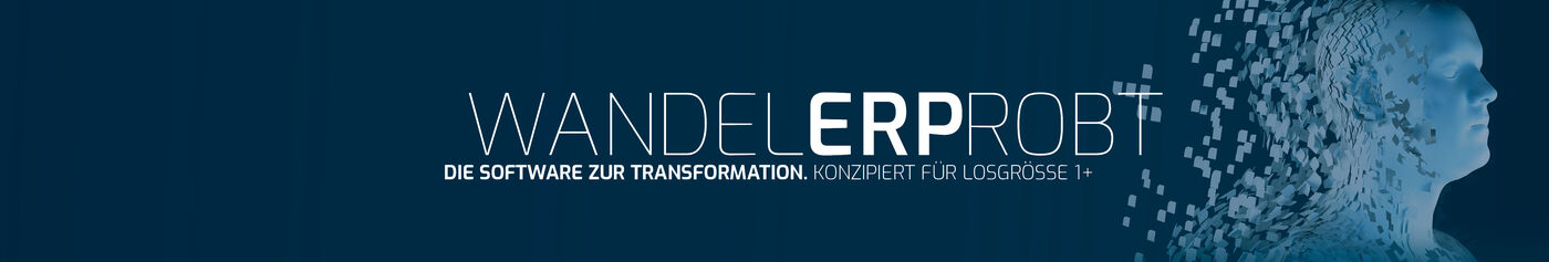 Karriere bei ams