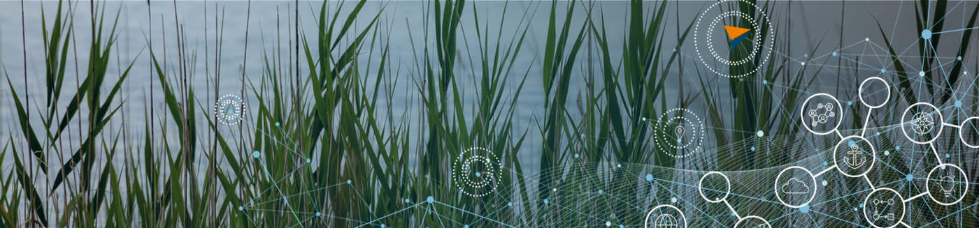 (Senior) Technical Consultant Low Code (m/w/d) (Senior) Technical Consultant Low Code (m/w/d) - Job Gera, Bremen, Hamburg, München, Stralsund - Karriere bei der affinis / PTSGroup AG