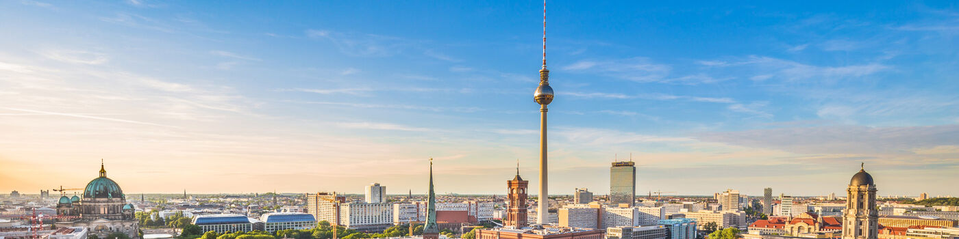 AI Program Director - Job Berlin, Home office - Jobs | ESMT Berlin