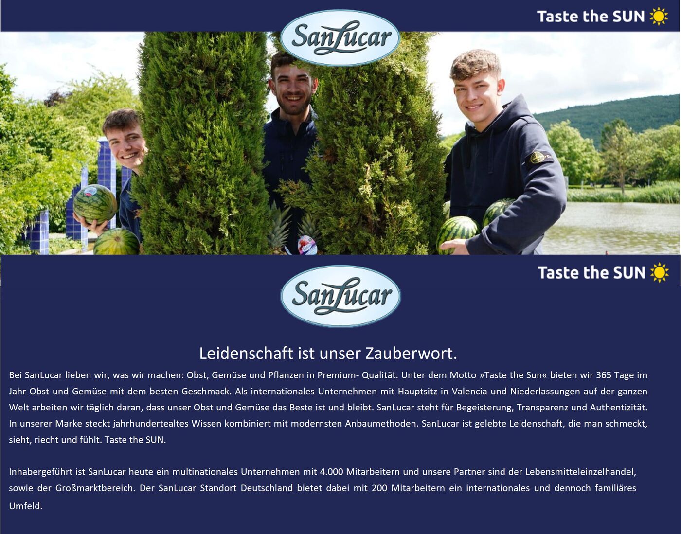 Bezirksleitung im Außendienst Region Pirmasens / Saarbrücken / Kaiserslautern - Job Ettlingen, Remote work - Deine Chance bei SanLucar