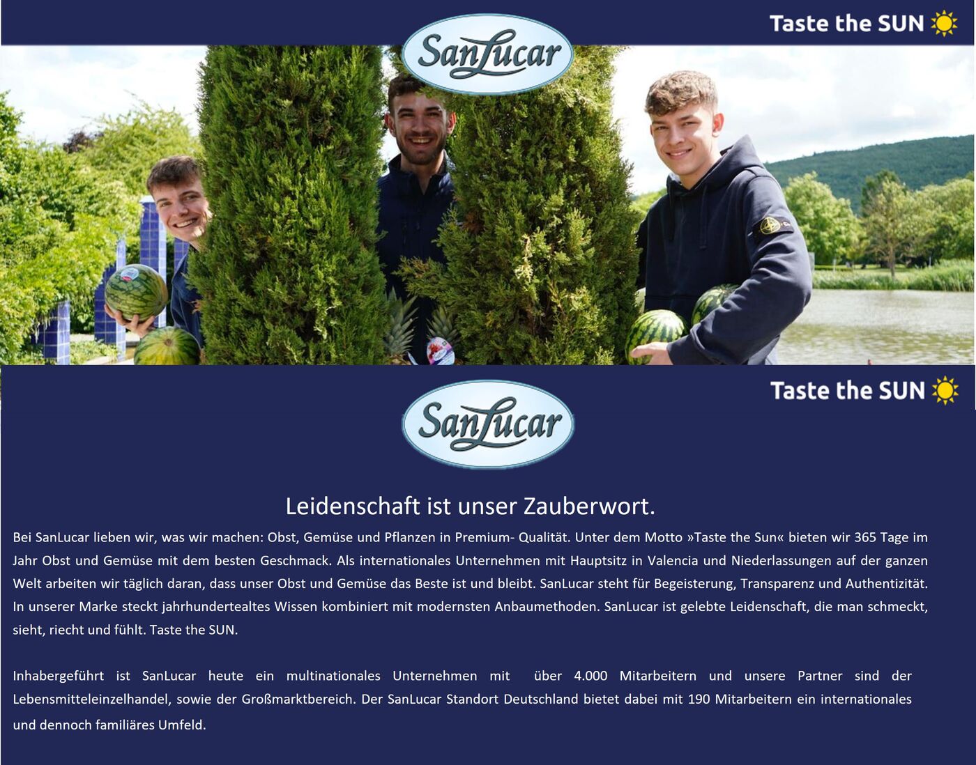 Vertrieb Region Landshut, Straubing & Passau (m/w/d) Vertrieb Region Landshut, Straubing & Passau (m/w/d) - Job Remote work - Deine Chance bei SanLucar