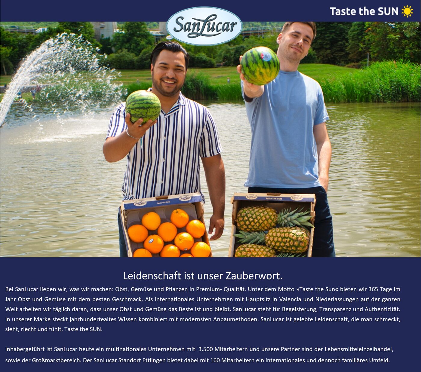 Vertrieb Region Bielefeld/Osnabrück/Minden - Job Remote work - Deine Chance bei SanLucar