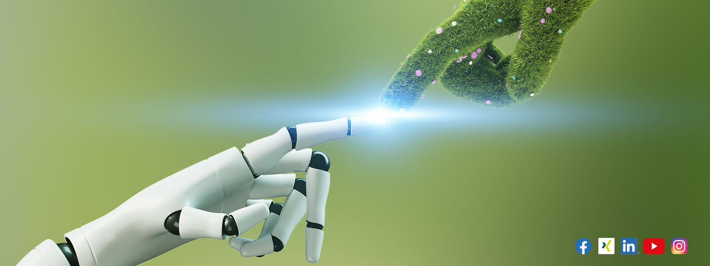 Teamleiter (m/w/d) Digitalisierung (KI&BI) Teamleiter (m/w/d) Digitalisierung (KI&BI) - Job - Sielaff Stellenangebote