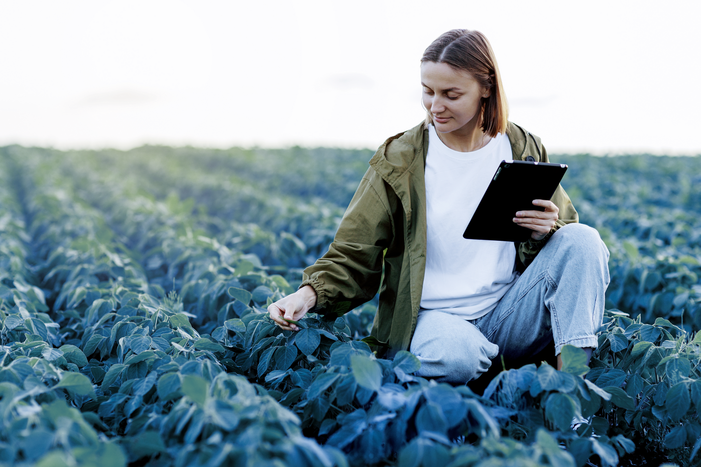 Senior Technical Expert Food Safety (m/f/d) - Job Köln, Homeoffice - Jobs - Agraya