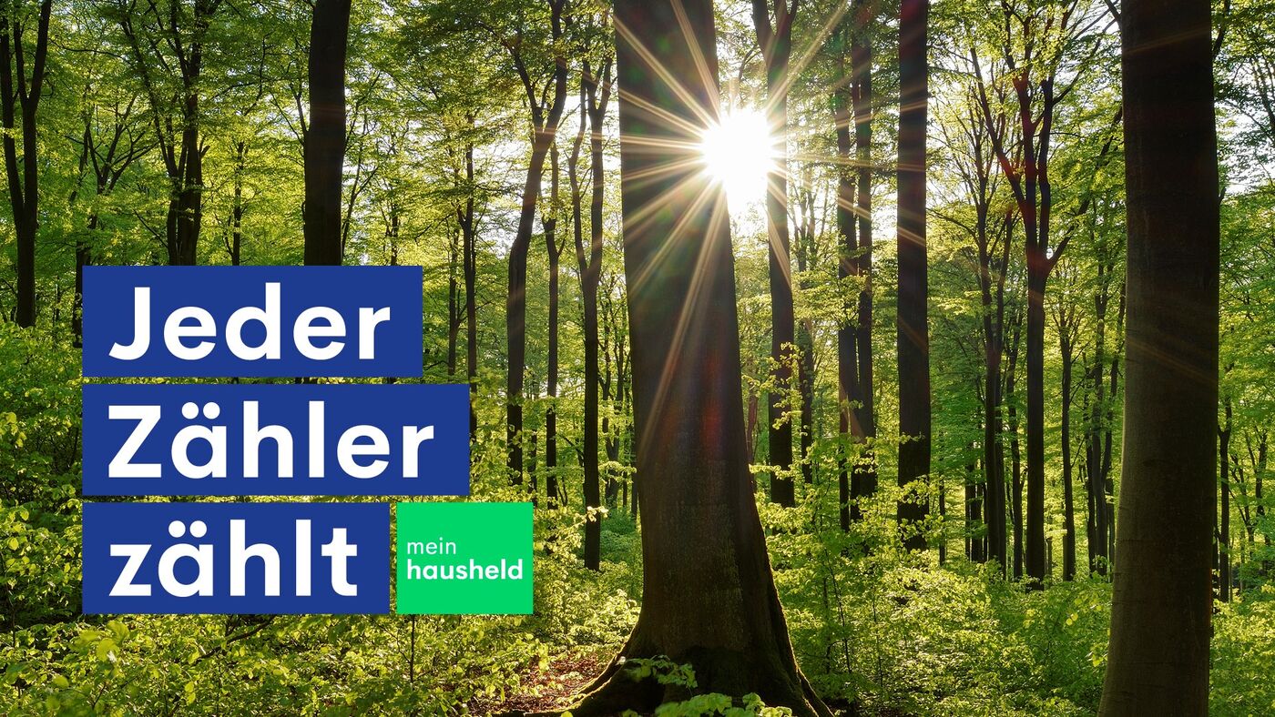 Smart Meter Gateway Administrator (m/w/d) - Job Mönchengladbach - Stellenportal