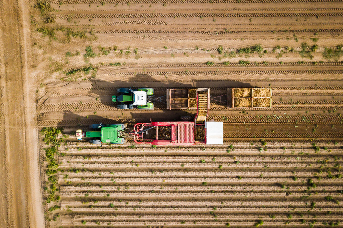 Landwirtschaftlicher Mitarbeiter (m/w/d) Landwirt/Fachkraft Agrarservice - Job Windeby - SOLANA GmbH Stellenportal - Bewerbungsformular