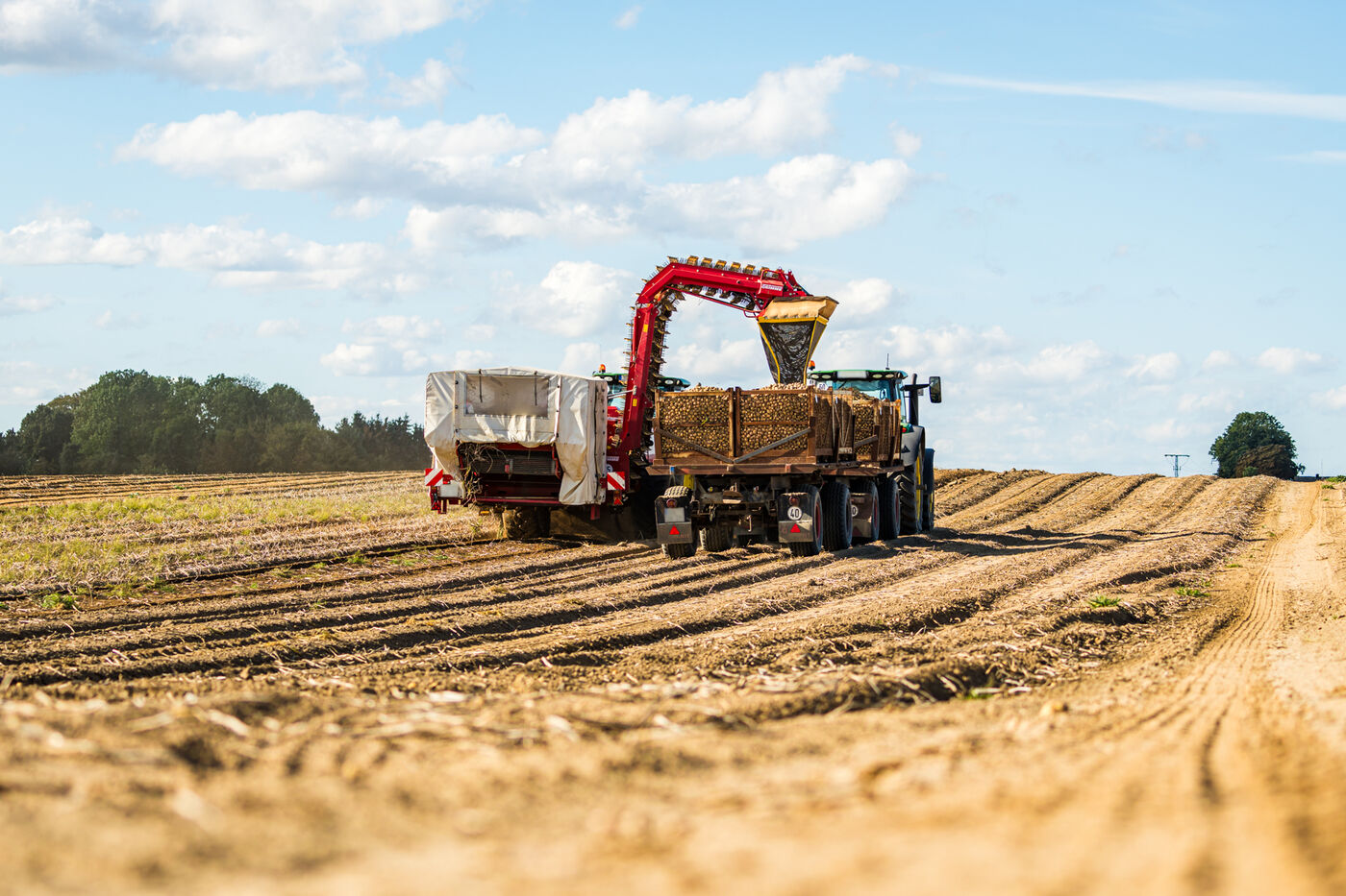 Standortleiter / Agrarmanager (m/w/d) für den Standort Ranzin Schwerpunkt Betriebsführung & Ackerbaukoordination - Job Ranzin - SOLANA GmbH Stellenportal