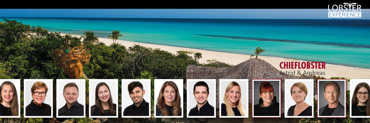 Junior Development Manager - Webentwicklung (M/W/D) - Job Offenbach, Home office - Stellenportal Lobster Experience