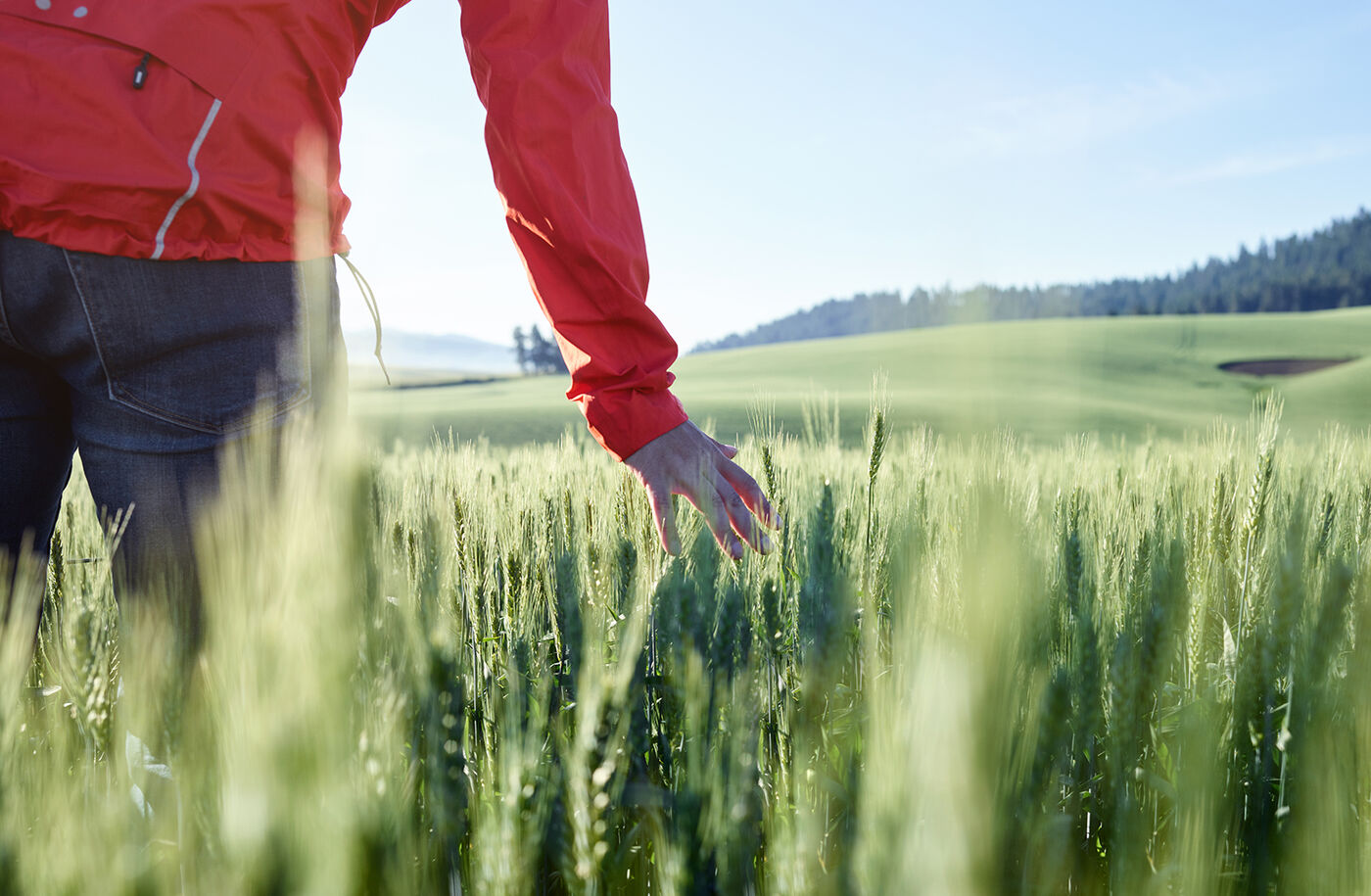 Vertriebsleiter (m/w/d) Environment EMEA Vertriebsleiter (m/w/d) Environment EMEA - Job München - KARRIERE - Application form