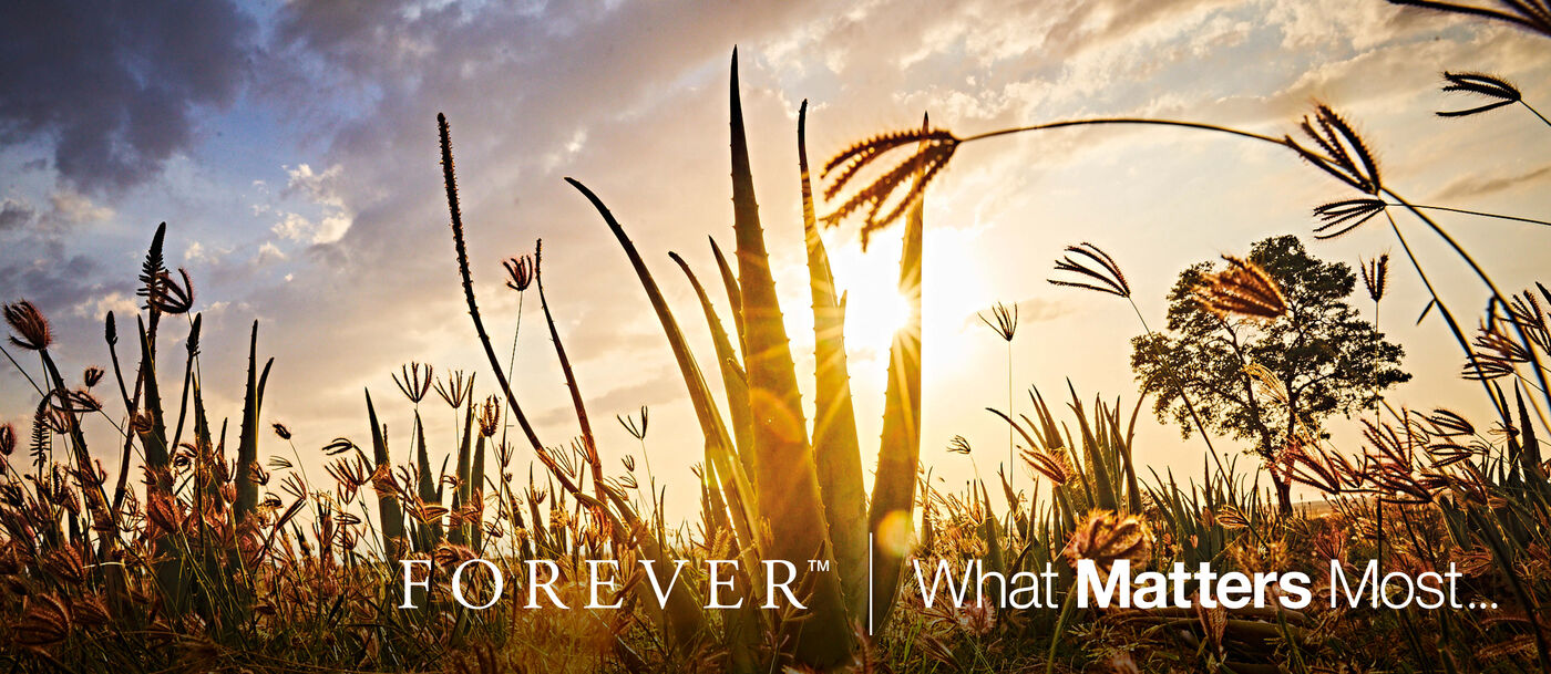 Forever Living Products DACH