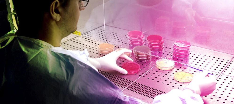 Medical Science Liaison (m/w/d) Gebiet Süd Medical Science Liaison (m/w/d) Gebiet Süd - Job - Karriere bei Angelini Pharma Deutschland GmbH