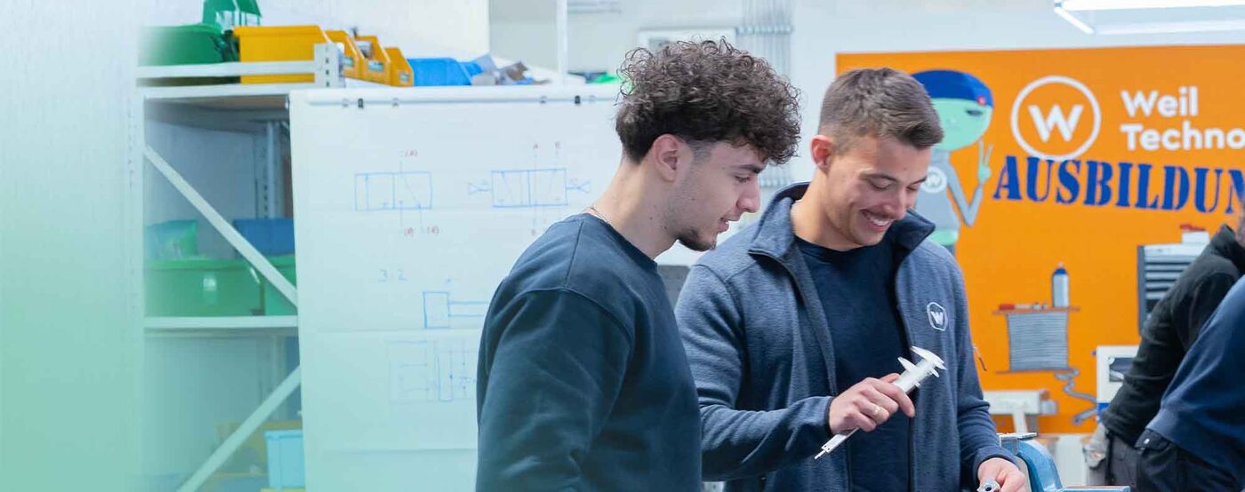 Ausbilder (m/w/d) gewerblich-technischer Bereich - Job Müllheim - Stellenangebote | Weil Technology - Application form