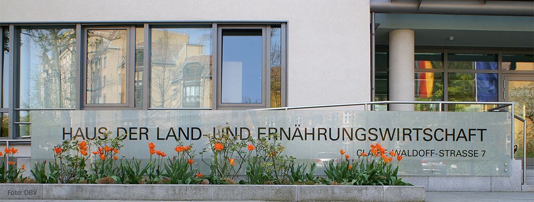 Büro- / Projekt-Assistenz (m/w/d) Brüssel Büro- / Projekt-Assistenz (m/w/d) Brüssel - Job Brüssel - Deutscher Bauernverband e.V. - Stellenangebote