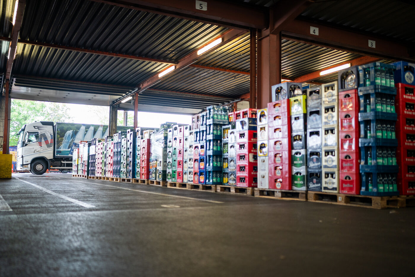 Marketing & Social Media Manager (m/w/d) - Job Wildeshausen - Stellen bei Nordmann