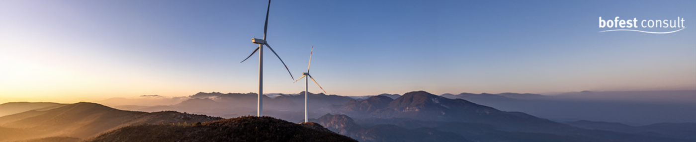 Consultant GenAI (all genders) - Job Düsseldorf, Remote work - Stellenportal - bofest consult