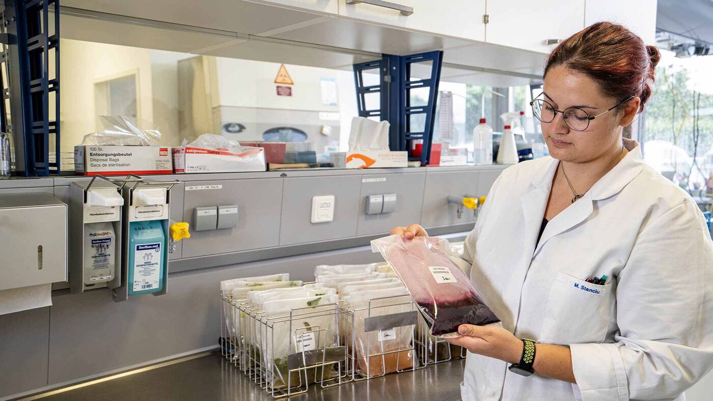 Biologe / BTA (m/w/d/) für Mikrobiologie Biologe / BTA (m/w/d/) für Mikrobiologie - Job Tegernheim - Stellenangebote