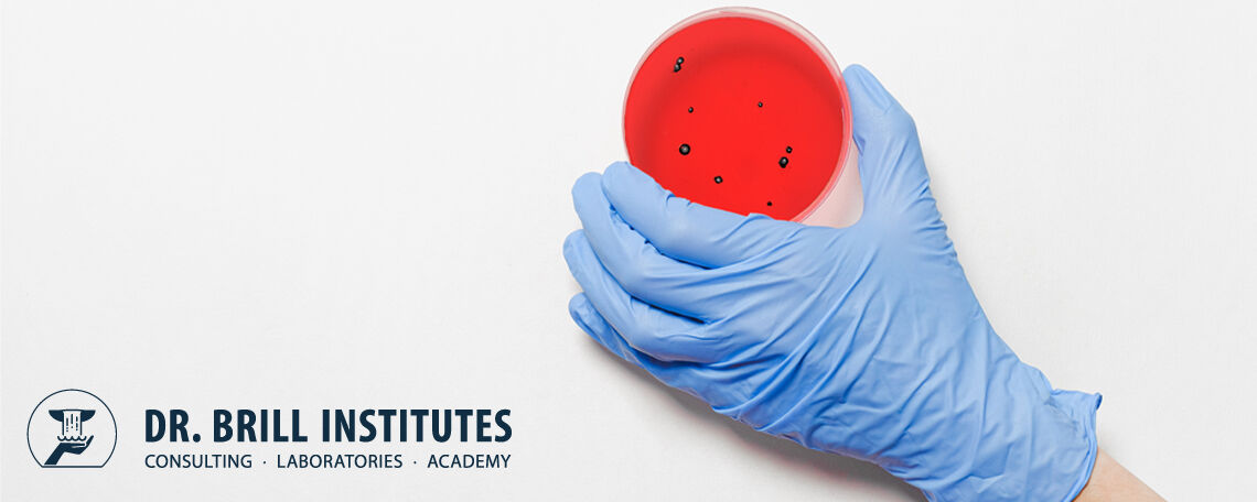 Probanden gesucht (m/w/d) Probanden gesucht (m/w/d) - Job Hamburg - Karriere bei Dr. Brill Institutes
