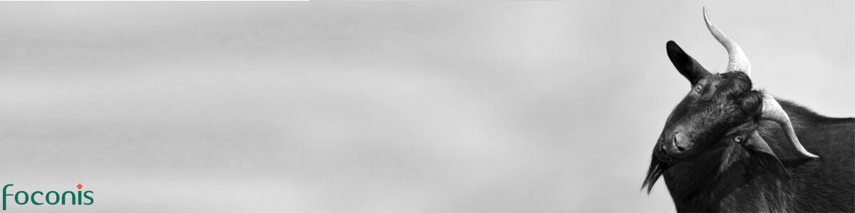 Frontend Developer (m/w/d) Frontend Developer (m/w/d) - Job Home office - Bock auf Zukunft?
