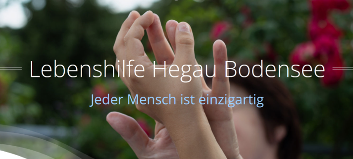 Minijob als Fahrer/in (m/w/d) - Job Singen - Jobs
