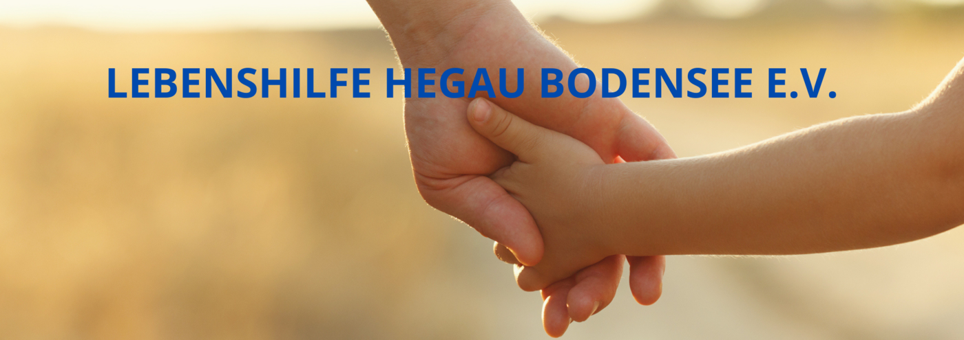 Minijob als Fahrer/in (m/w/d) Minijob als Fahrer/in (m/w/d) - Job Singen - Jobs