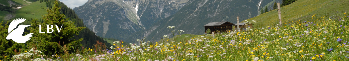 Ehrenamtsmanager*in (m/w/d) - Job Hilpoltstein, Homeoffice - Stellenportal - LBV