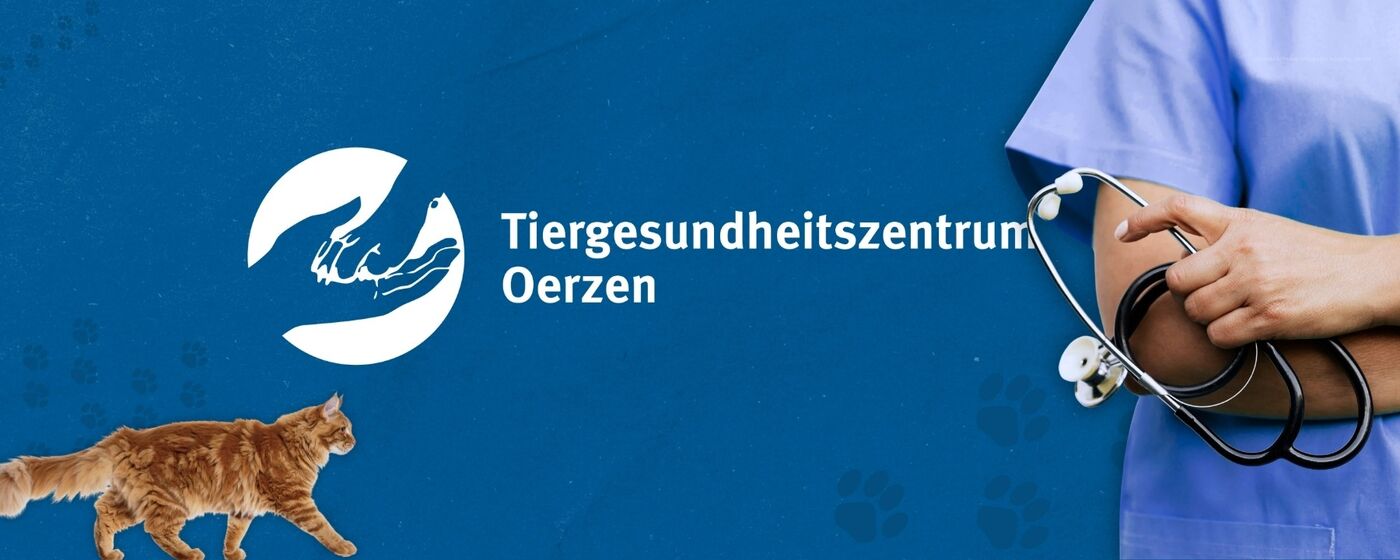 Stellenangebote im TGZ