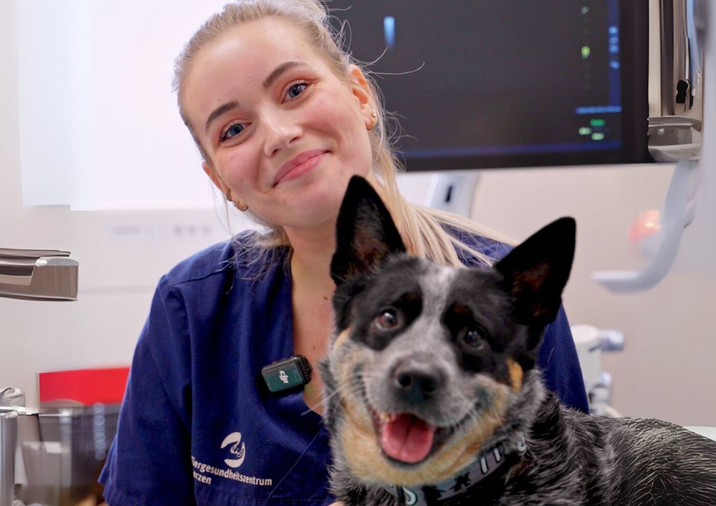 Auszubildende/r Tiermedizinische/r Fachangestellte/r m/w/d für 2026 - Job Melbeck - Stellenangebote im TGZ 