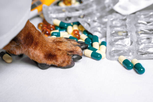 MitarbeiterIn (m/w/d) für den Apothekenbereich - Job Melbeck - Stellenangebote im TGZ 