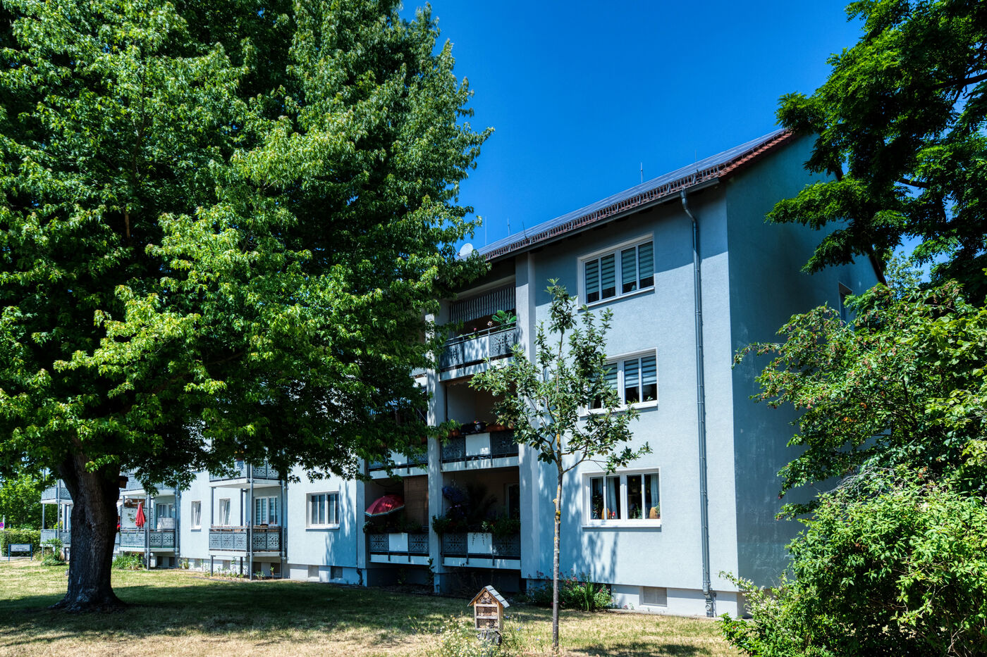 Baumkontrolleur (m/w/d) - Job Erlangen - Die GEWOBAU Erlangen