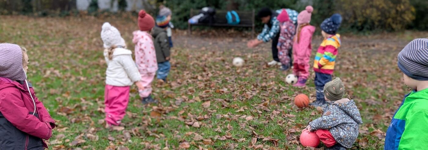 Offene Stellen Junikäfer