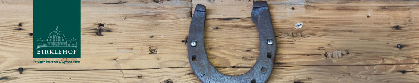 Schreiner (m/w/d) - Job Hinterzarten - Stellenportal Schule Birklehof e. V.