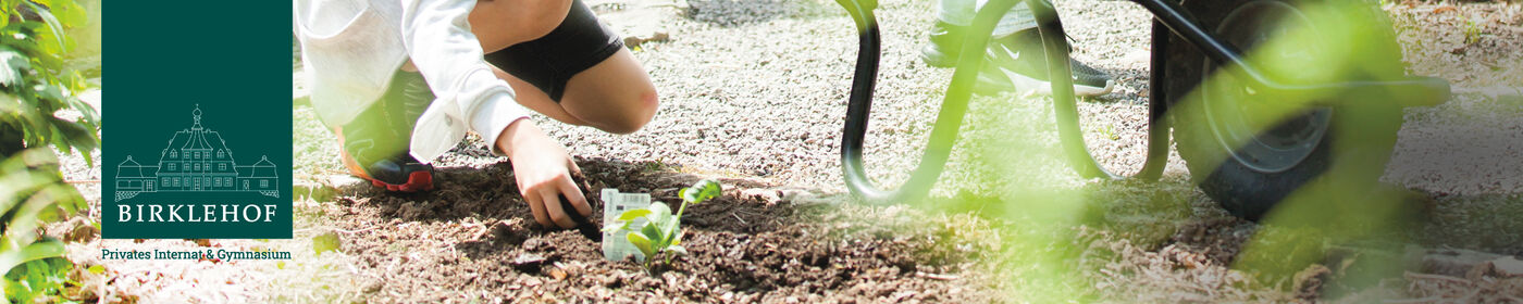 Initiativbewerbung (m/w/d) - Job Hinterzarten - Stellenportal Schule Birklehof e. V.