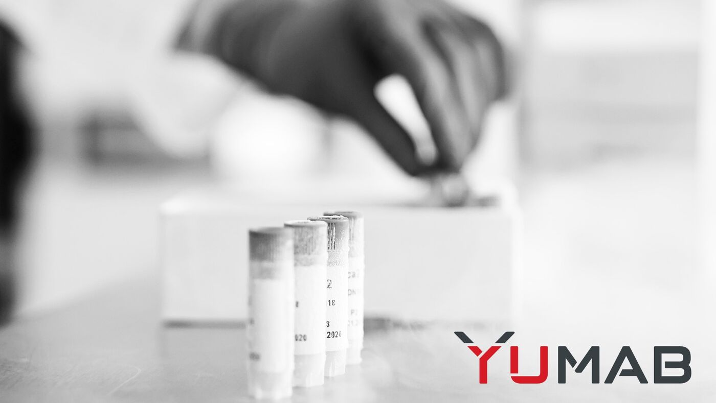 Projektmanager (m/w/d)  Antikörperentwicklung & Kundenprojekte - Job Braunschweig, Home office - YUMAB-Stellenportal