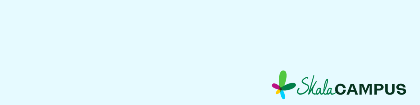 Non-Profit-Berater:in (m/w/d) - Job Mobiles Arbeiten - SKala-CAMPUS