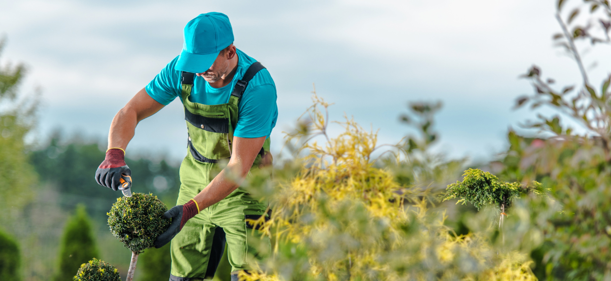 Gärtner (m/w/d) - Job Gersthofen - Karriere I Umwelt Service Mannert