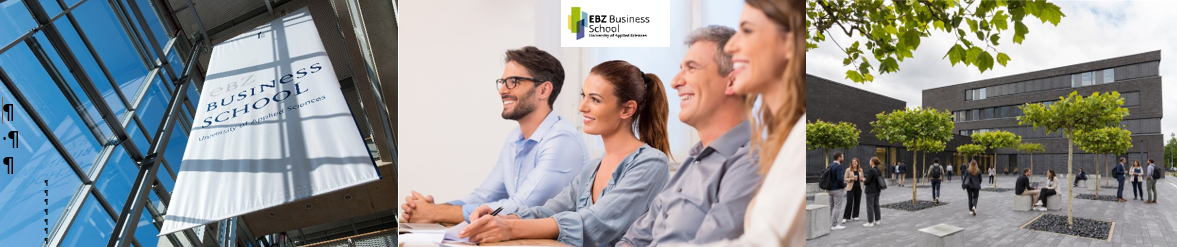 Professur (m/w/d) für Betriebswirtschaftslehre, insb. Rechnungslegung und Prüfungswesen in der Immobilienwirtschaft - Job - EBZ Karriere - Aktuelle Stellenangebote