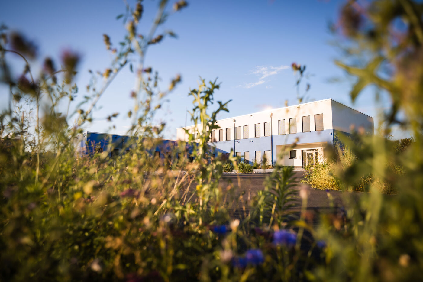 Teamleitung Kalibrierlabor Druck & Temperatur (m/w/d) - Job - Bewerbungsformular