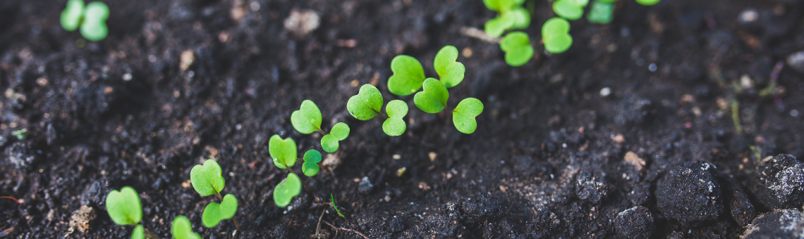 Gärtner / Gartenarbeiter (m/w/d) - Job Aschaffenburg - Karriere | Stadtbau Aschaffenburg GmbH