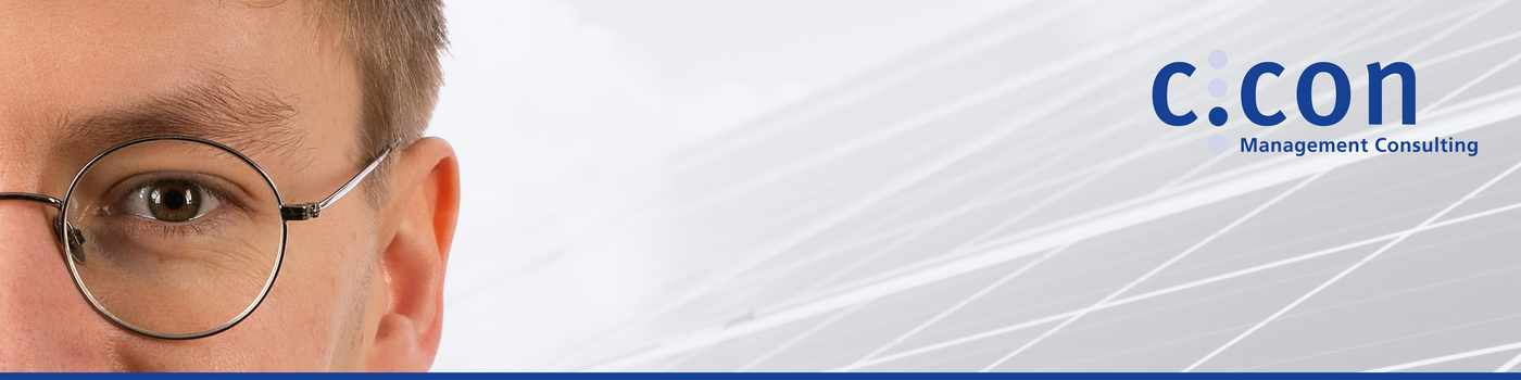 Berater:in Business Intelligence Energiewirtschaft (d/m/w) - Job Remote work - Jobs