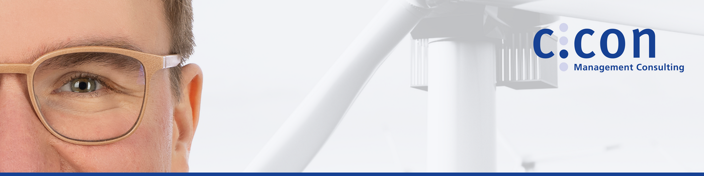 Senior Strategie- und Managementberater:in / Manager:in (D/M/W) - Job Mobiles Arbeiten - Jobs