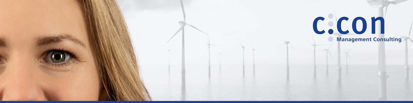 Senior Expert:in Energiewirtschaft (d/m/w) - Job Mobiles Arbeiten - Jobs