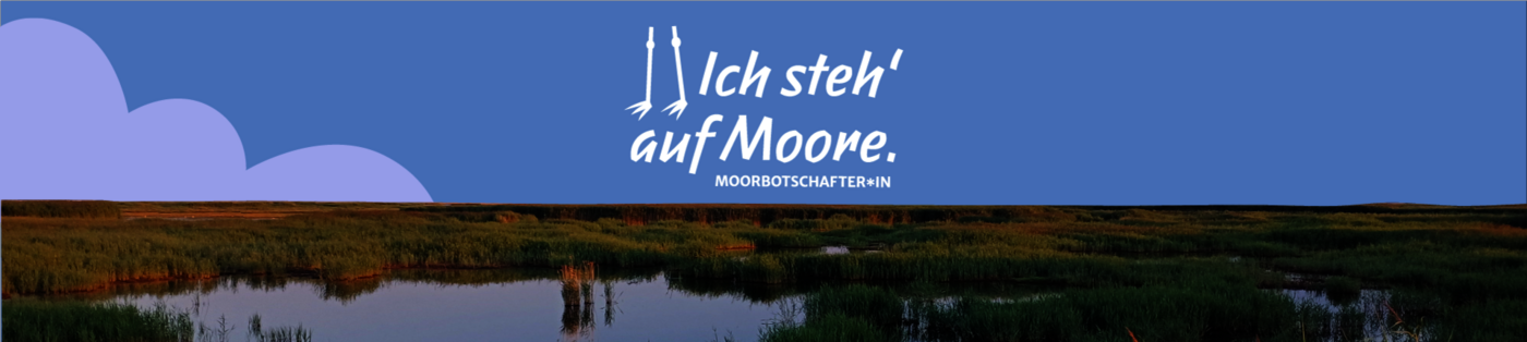 Stellen bei der Michael Succow Stiftung