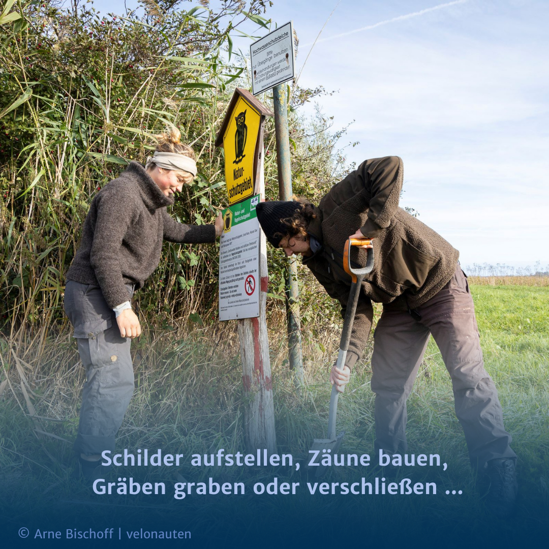 Unsere Freiwilligen im Stiftungshaus - Job Greifswald - Stellen bei der Michael Succow Stiftung